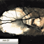 Crater crack in Welding