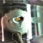 CF8M welding-repair-procedure