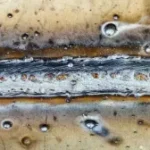 welding spatter
