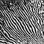 How-cementite-appears-in-steel-microstructure